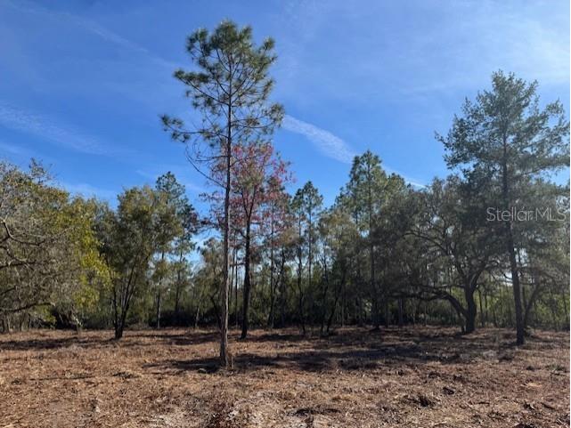 11901 Ne 150th Ave Road Fort Mc Coy FL 32134 OM687596 image15