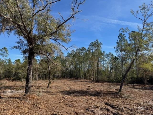 11901 Ne 150th Ave Road Fort Mc Coy FL 32134 OM687596 image16