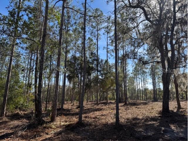 11901 Ne 150th Ave Road Fort Mc Coy FL 32134 OM687596 image17