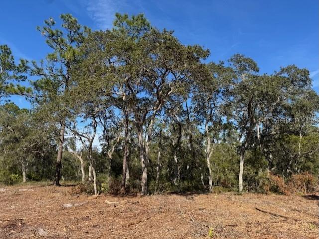 11901 Ne 150th Ave Road Fort Mc Coy FL 32134 OM687596 image18