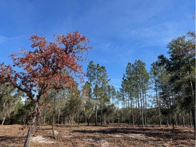 11901 Ne 150th Ave Road Fort Mc Coy FL 32134 OM687596 image3