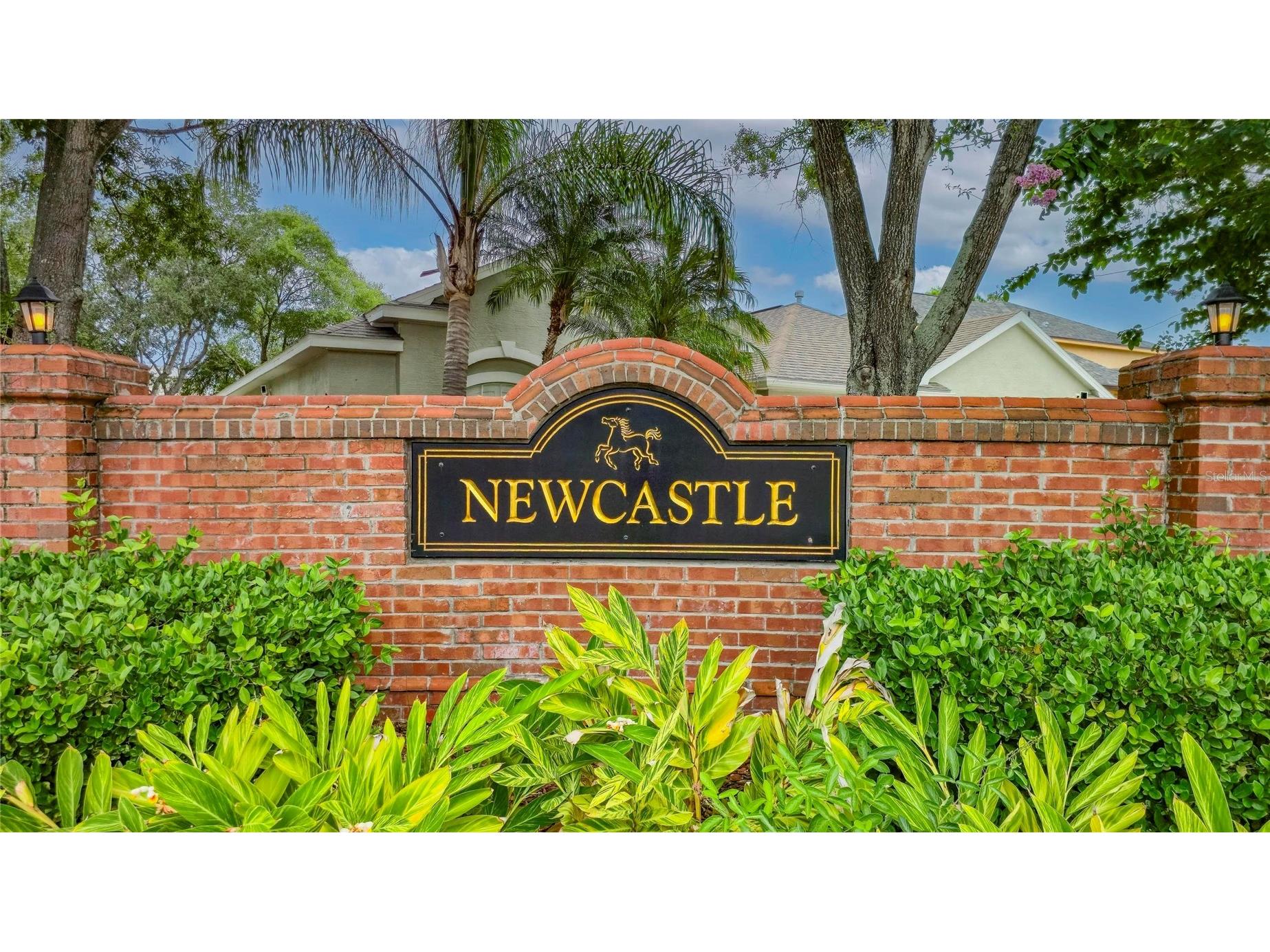 11901 Northumberland Drive Tampa FL 33626 TB8519005 image49