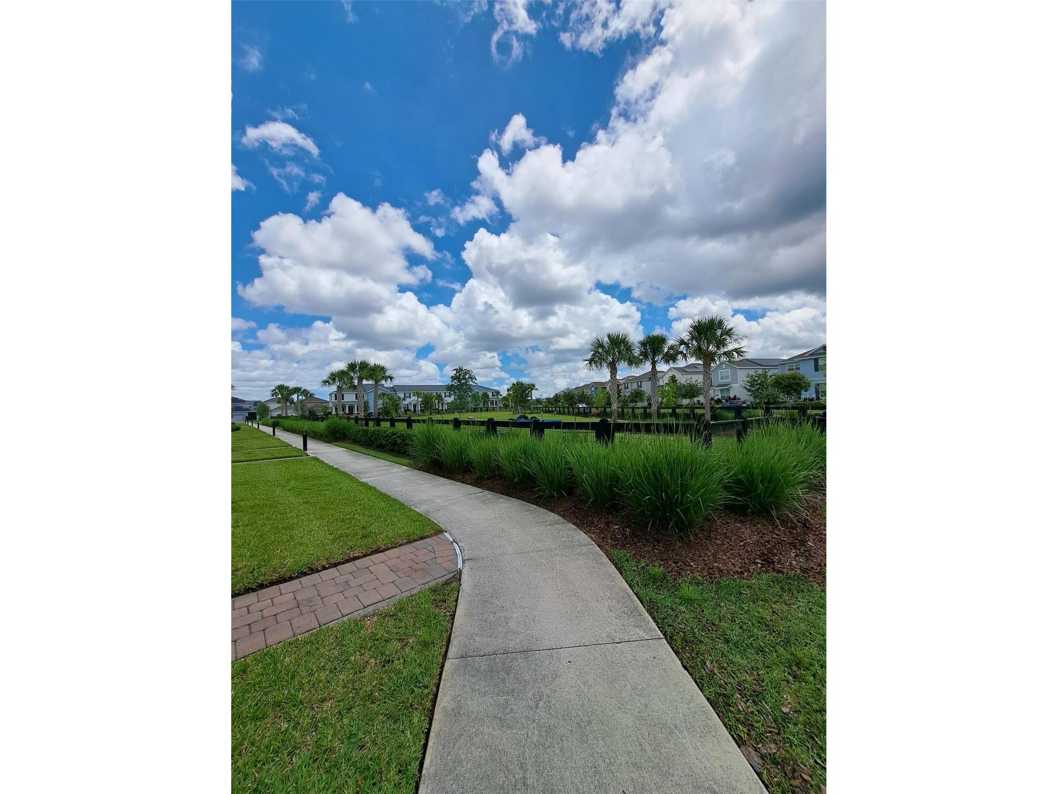 11902 Architecture Alley Orlando FL 32832 S5151692 image15