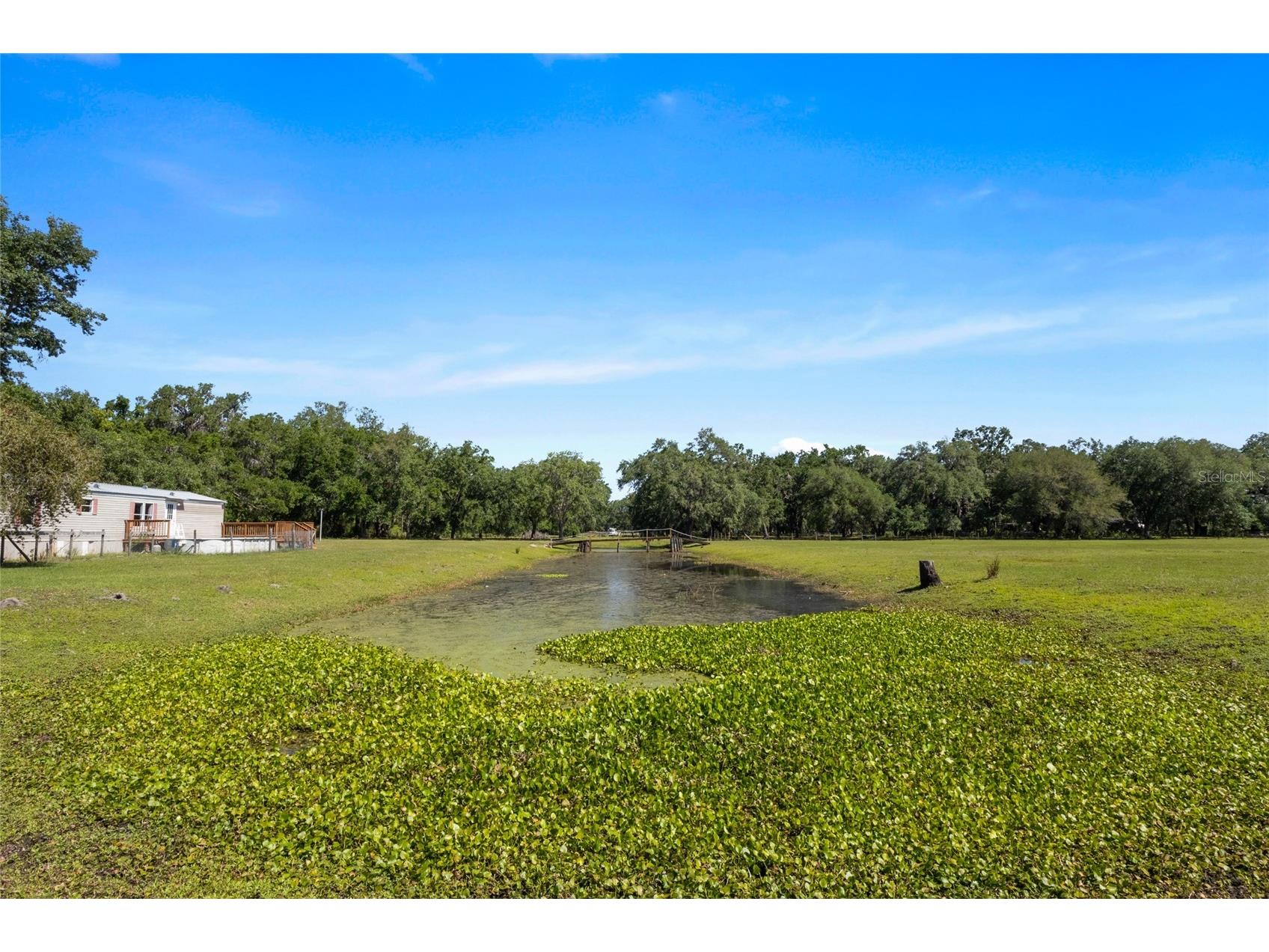 11902 Cr 727 Webster FL 33597 O6394956 image20