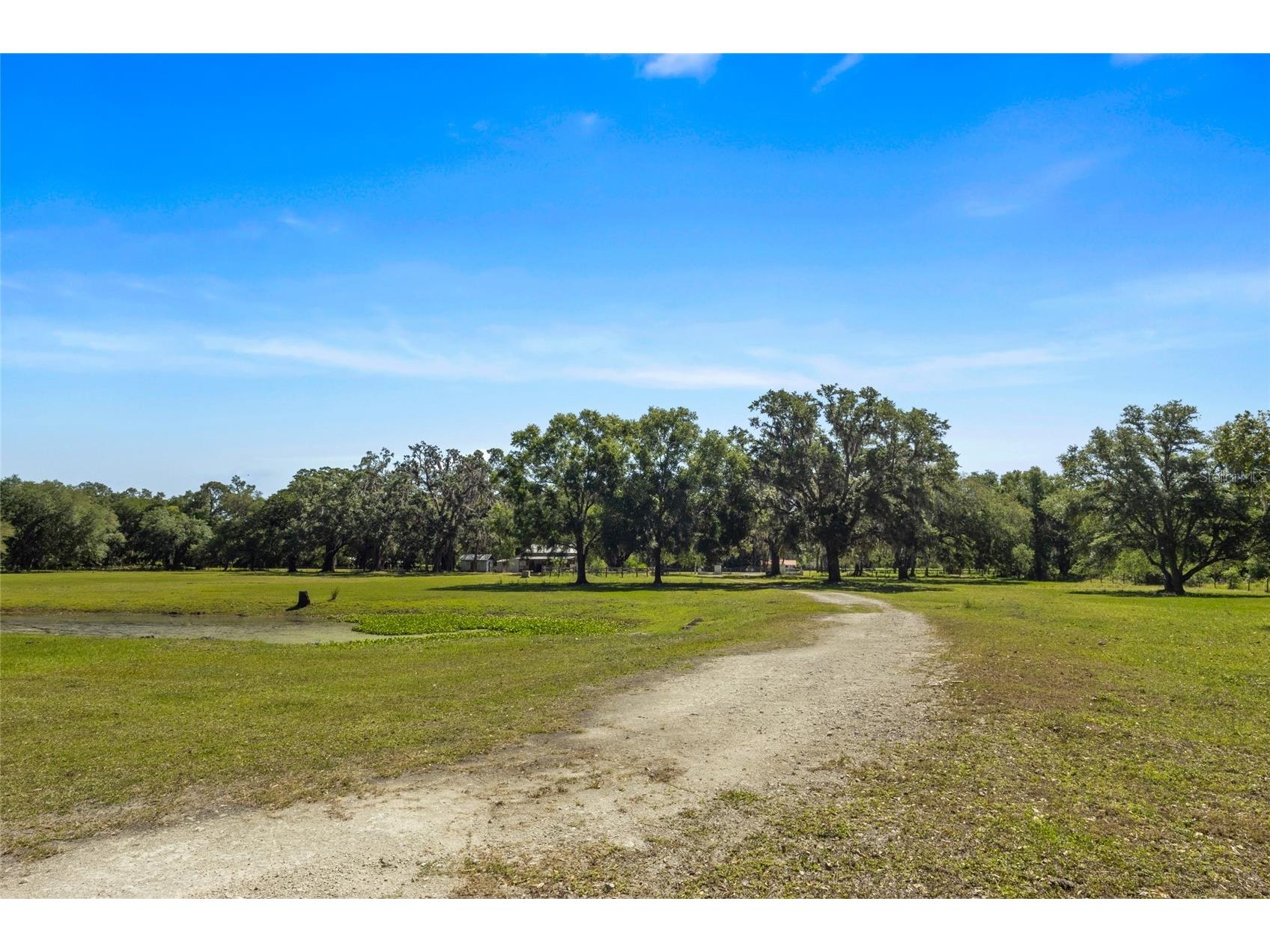 11902 Cr 727 Webster FL 33597 O6394956 image23