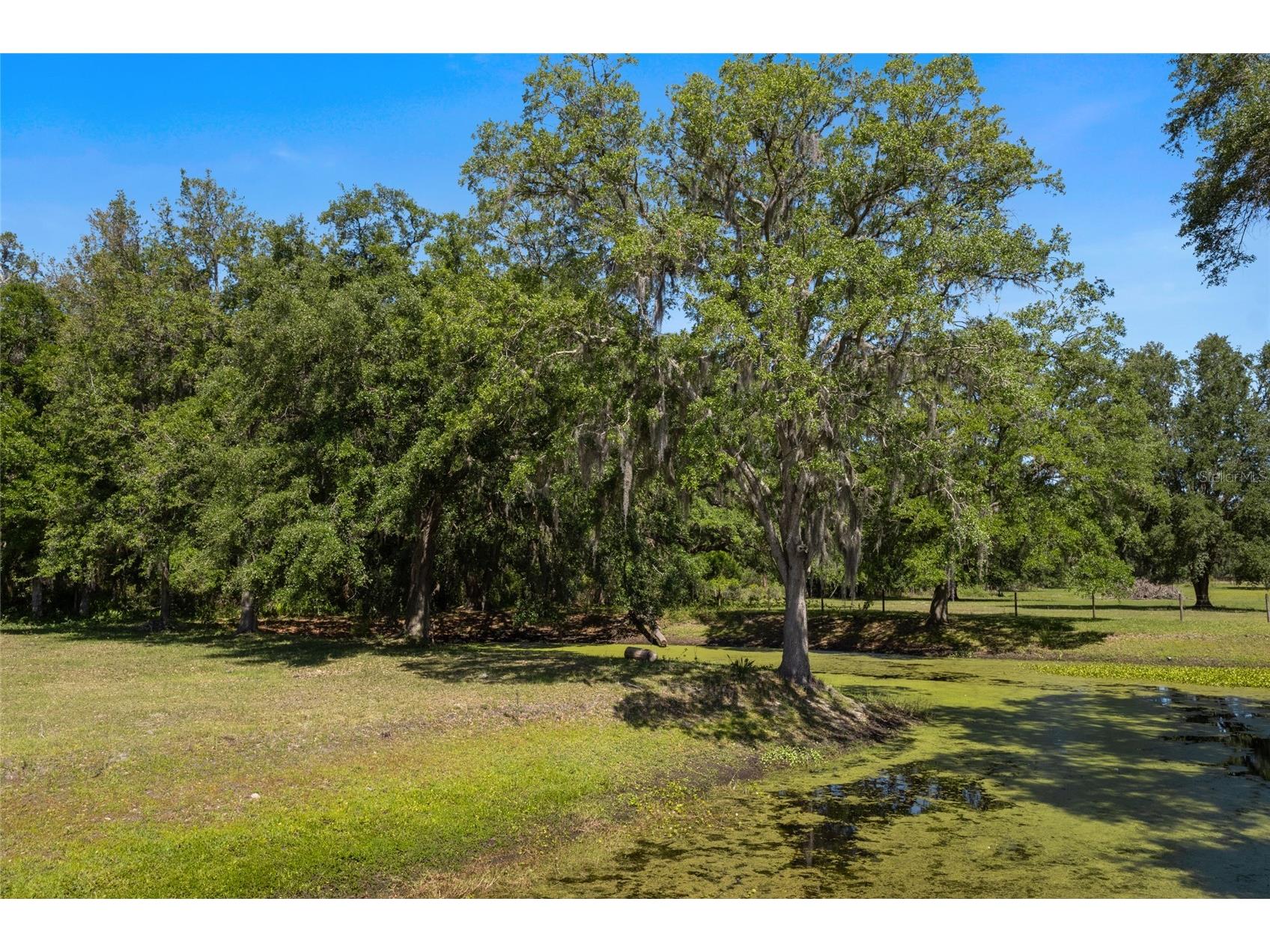 11902 Cr 727 Webster FL 33597 O6394956 image24