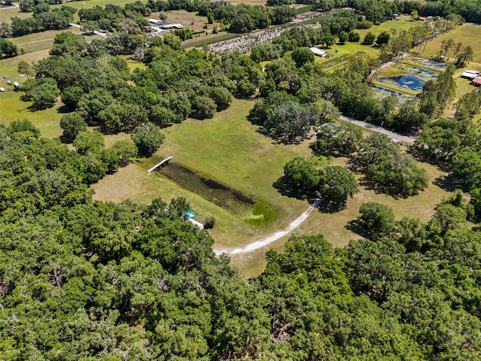 11902 Cr 727 Webster FL 33597 O6394956 image4