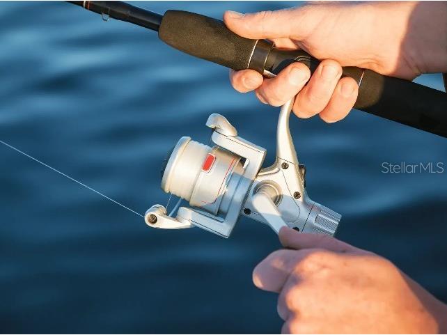 11902 Van Loon Avenue Port Charlotte FL 33981 O6335304 image17