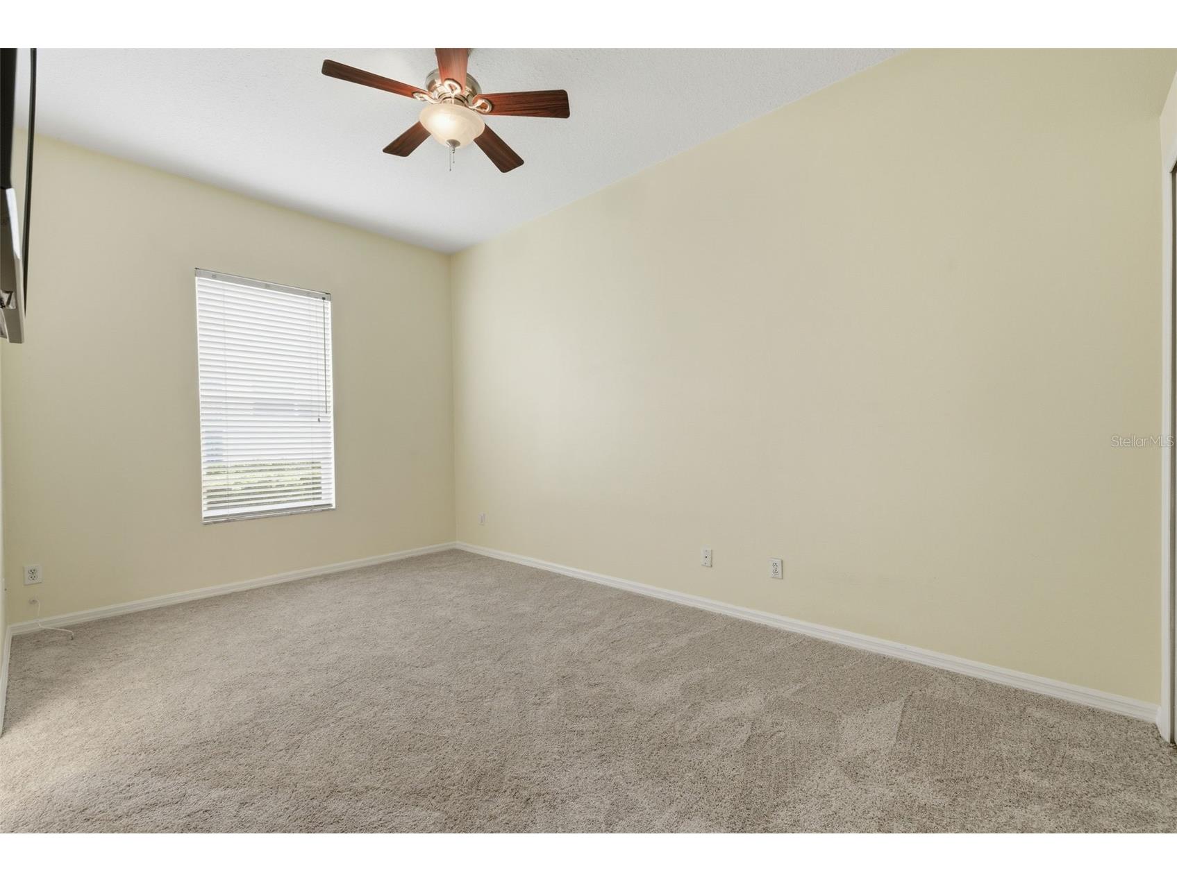 11902 Wandsworth Drive Tampa FL 33626 TB8511510 image26
