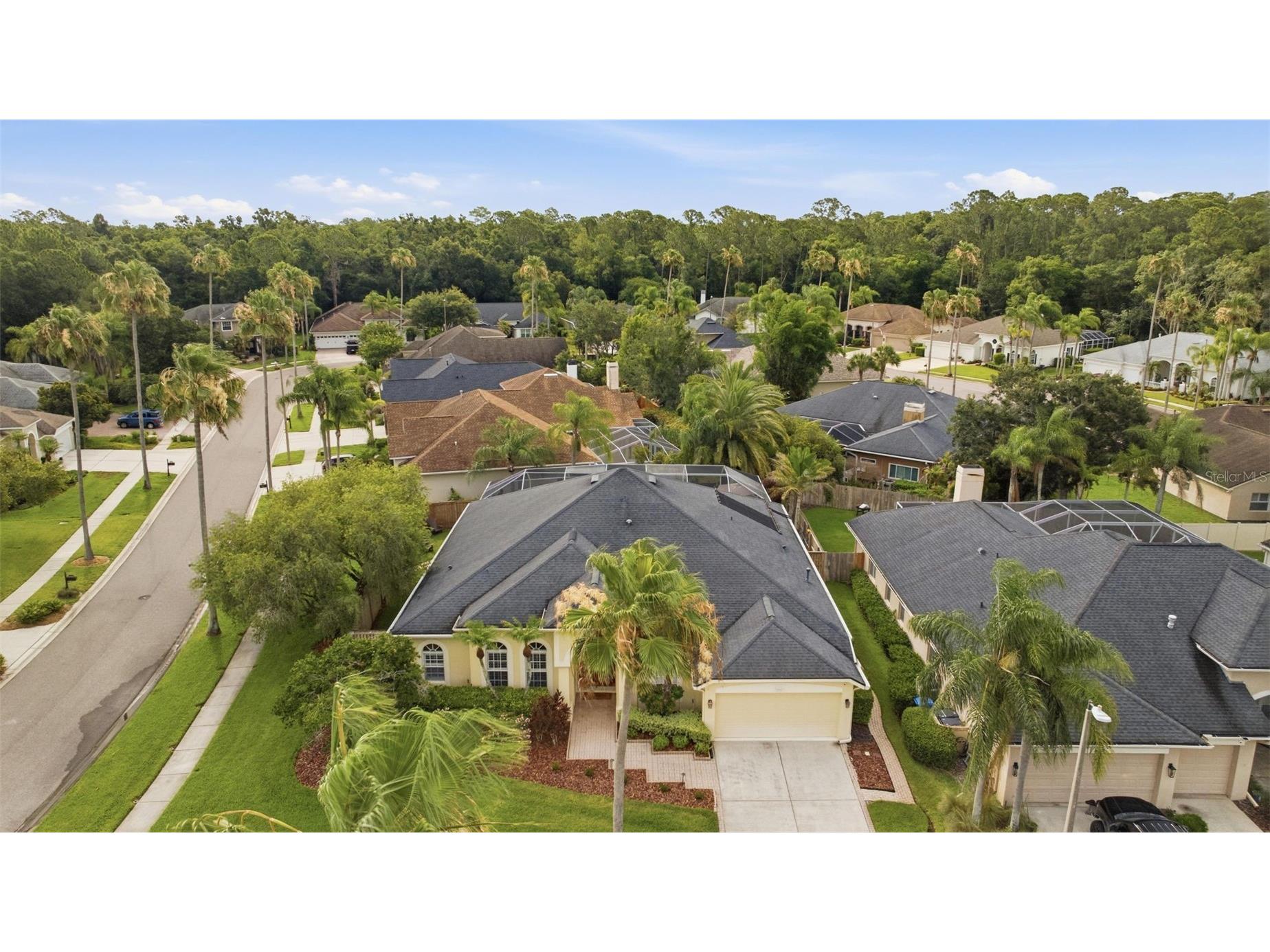 11902 Wandsworth Drive Tampa FL 33626 TB8511510 image36