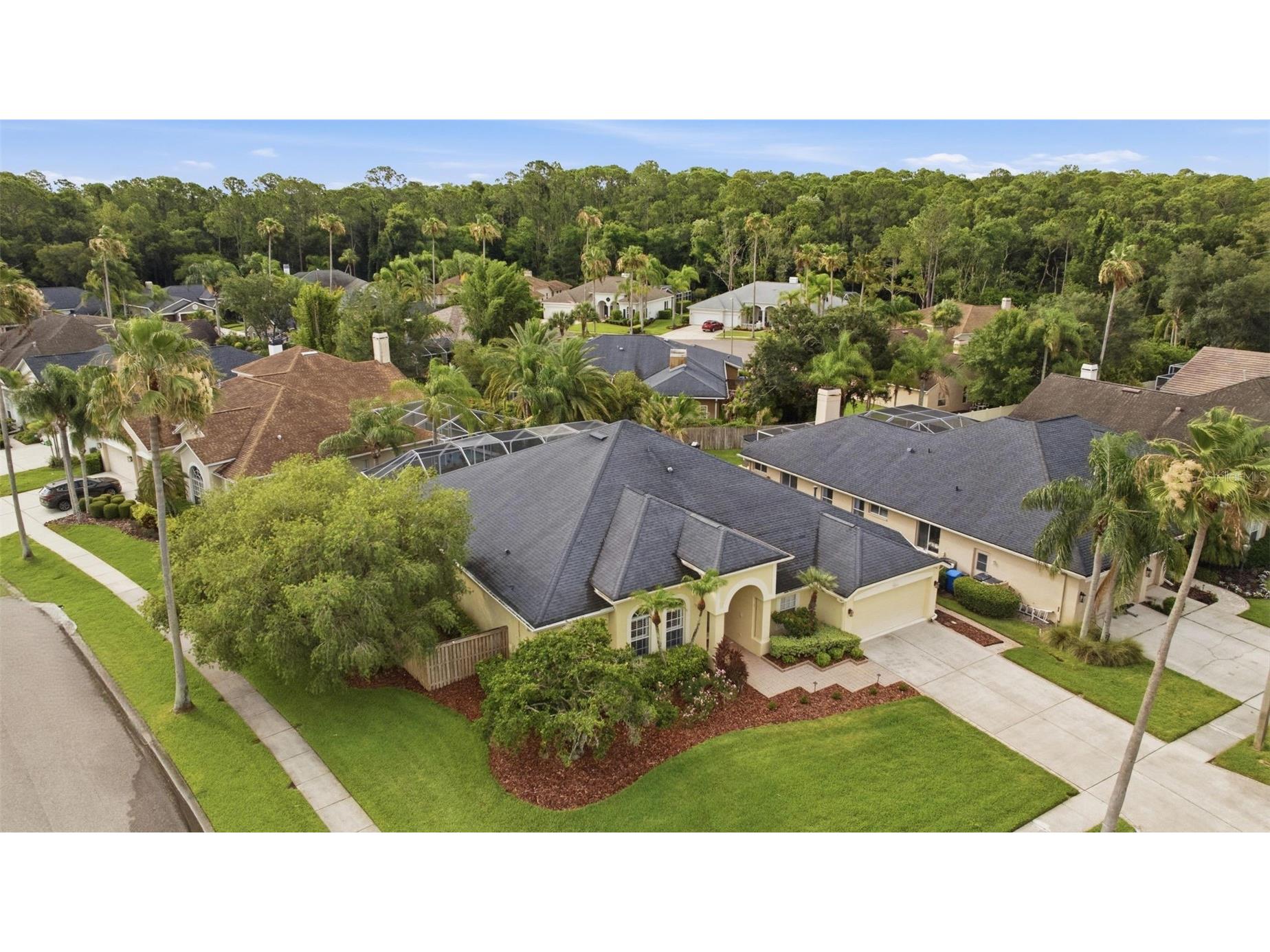 11902 Wandsworth Drive Tampa FL 33626 TB8511510 image37