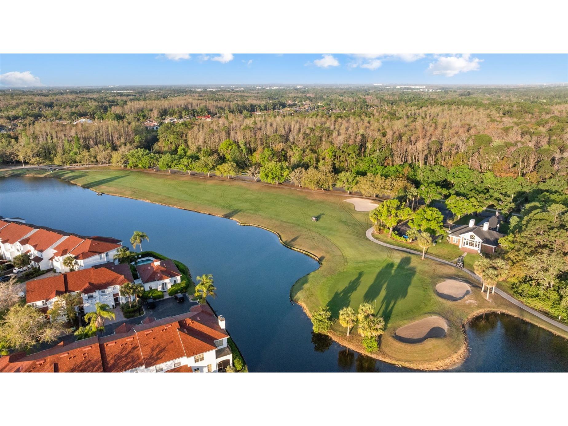 11902 Wandsworth Drive Tampa FL 33626 TB8511510 image52