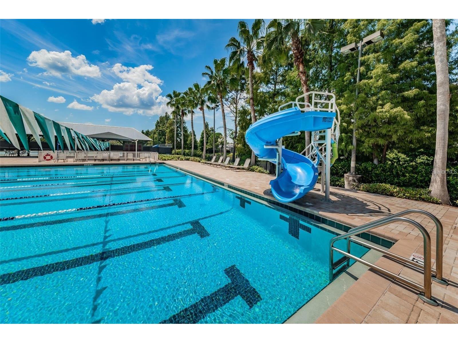 11902 Wandsworth Drive Tampa FL 33626 TB8511510 image53