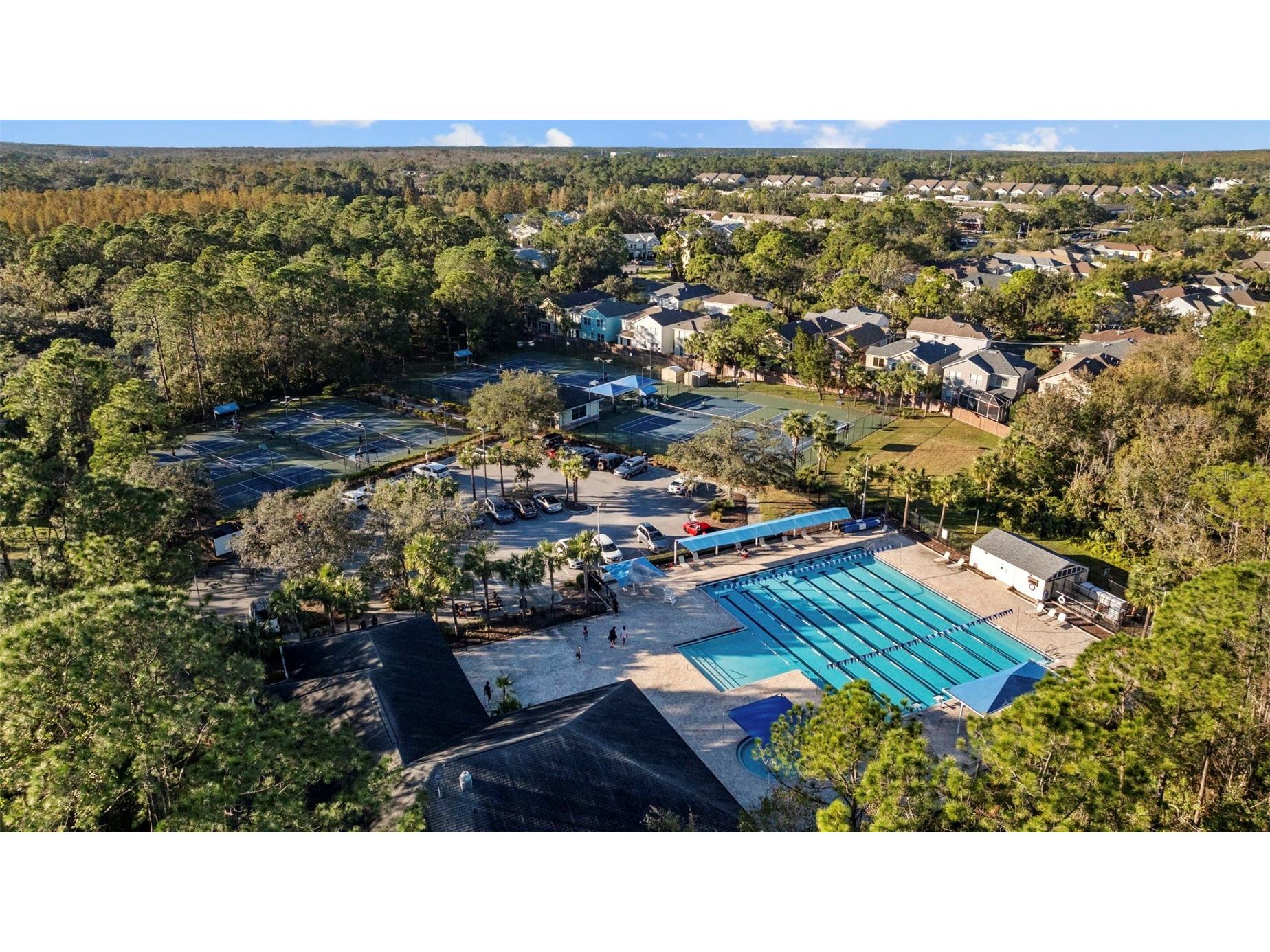 11902 Wandsworth Drive Tampa FL 33626 TB8511510 image56