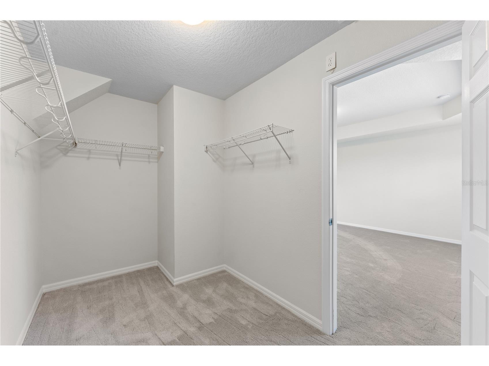 11903 Cave Run Avenue Windermere FL 34786 O6392757 image28