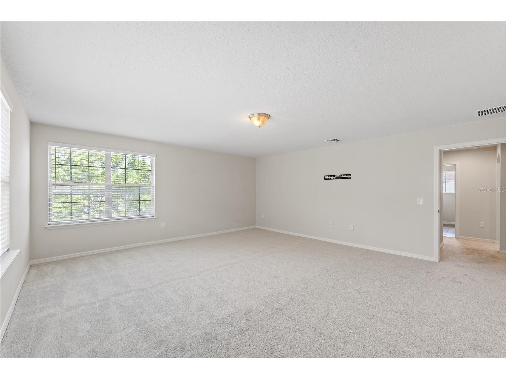 11903 Cave Run Avenue Windermere FL 34786 O6392757 image30