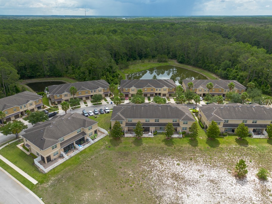 11903 Greengate Drive Hudson FL 34669 TB8385820 image36