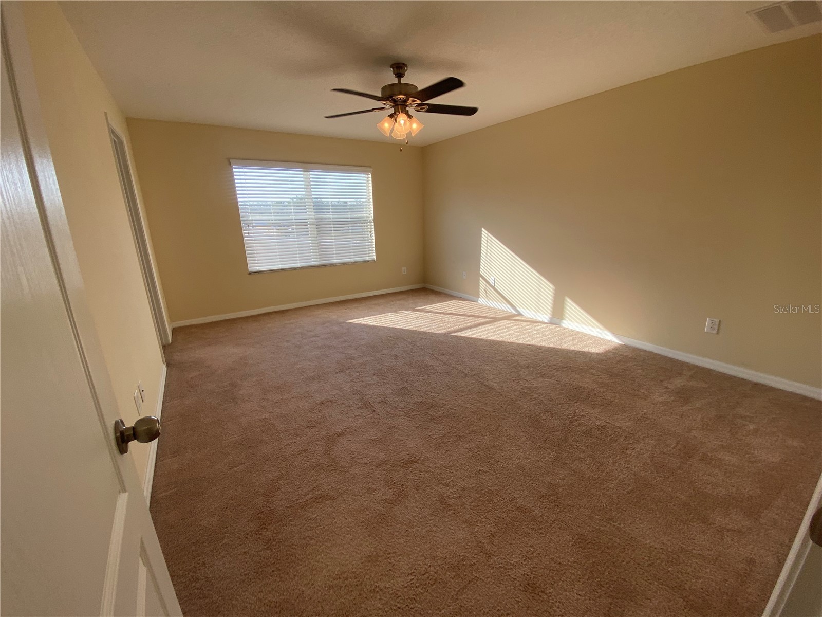 11903 Greengate Drive Hudson FL 34669 TB8477511 image23