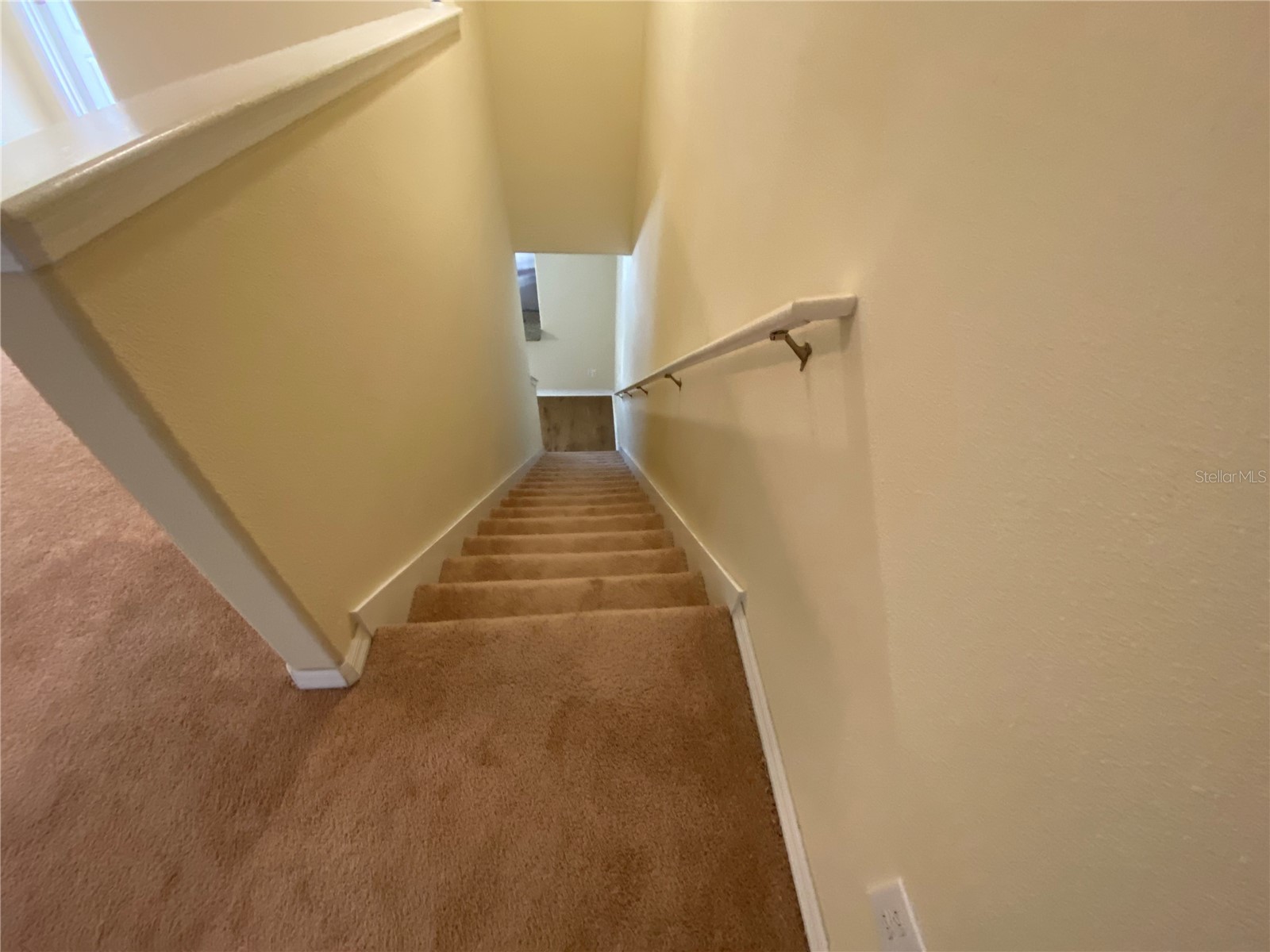 11903 Greengate Drive Hudson FL 34669 TB8477511 image30
