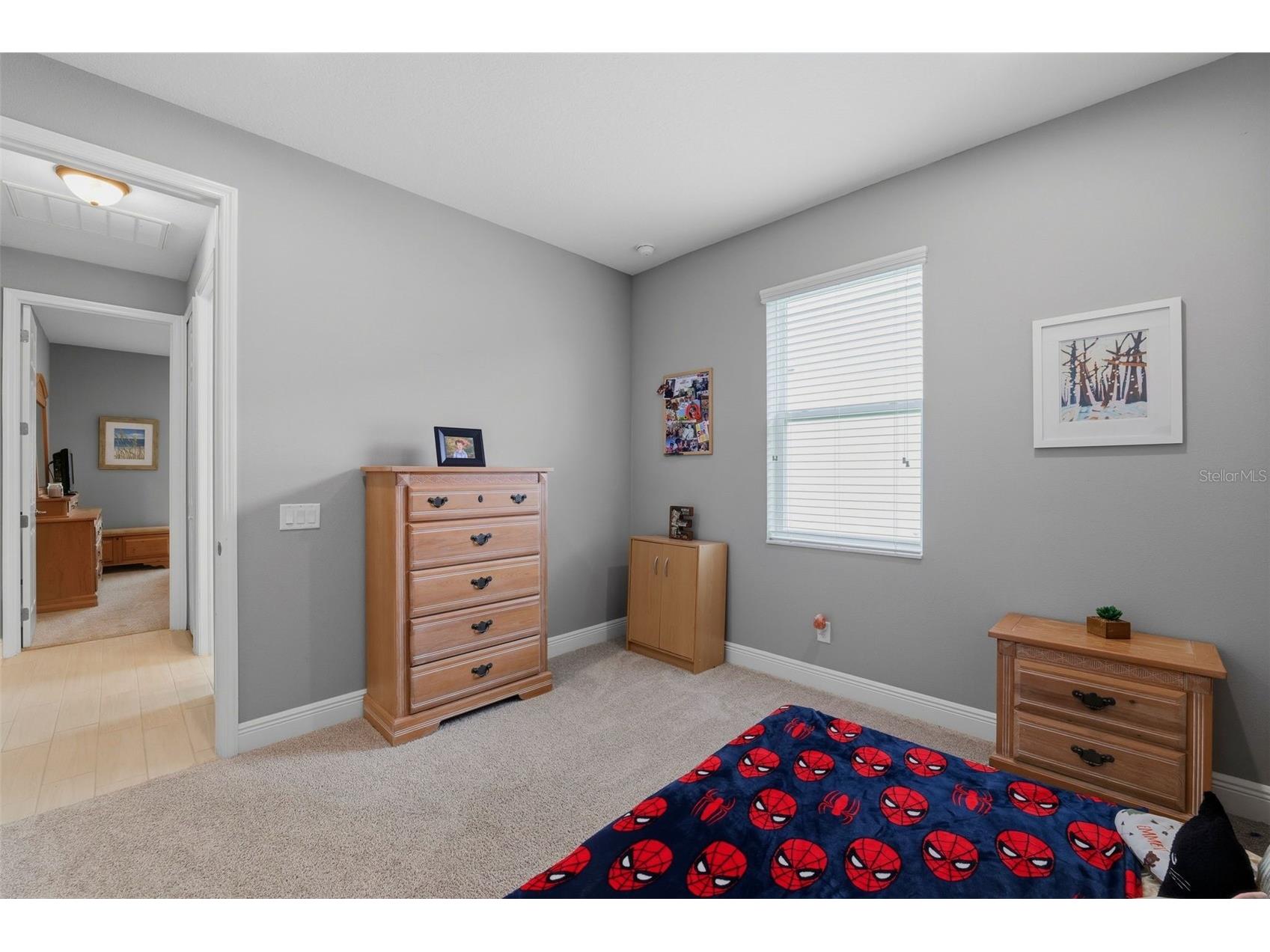 11903 Ranchers Gap Drive Odessa FL 33556 W7886390 image29