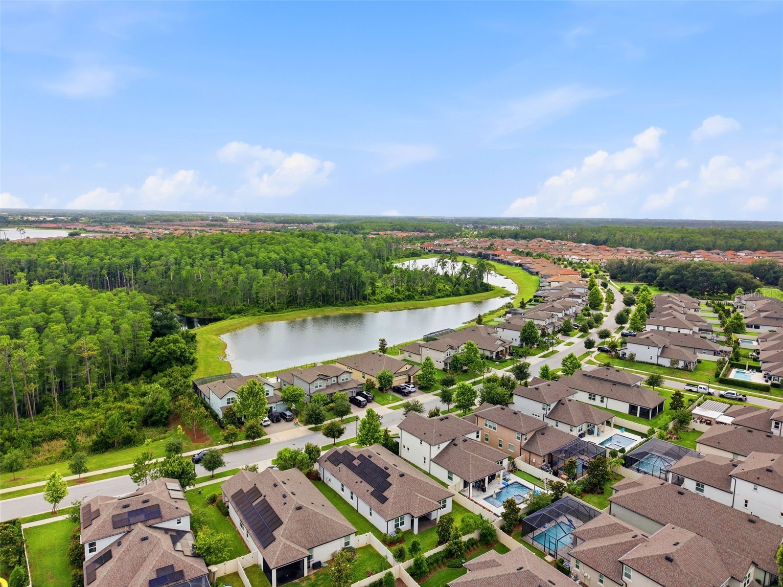 11903 Ranchers Gap Drive Odessa FL 33556 W7886390 image40