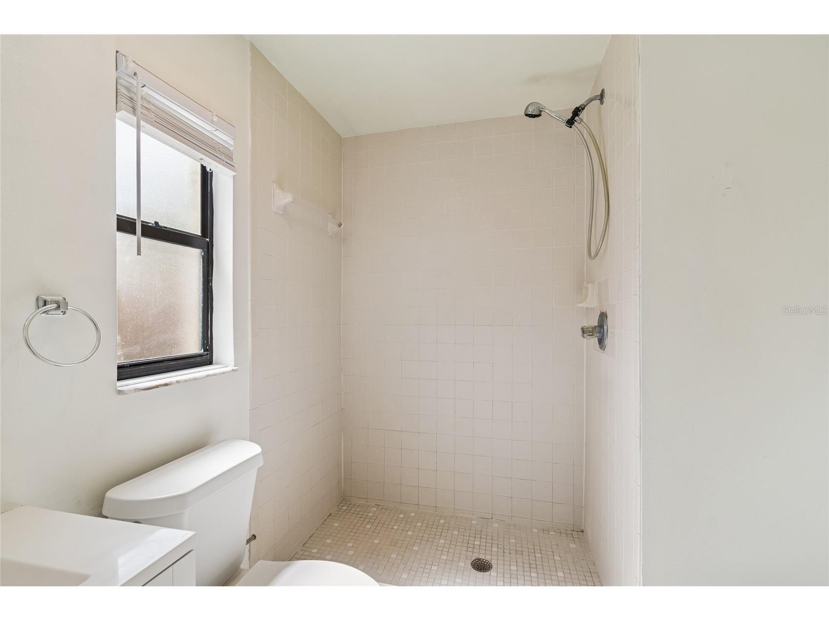 11903 Steppingstone Boulevard Tampa FL 33635 TB8471883 image28
