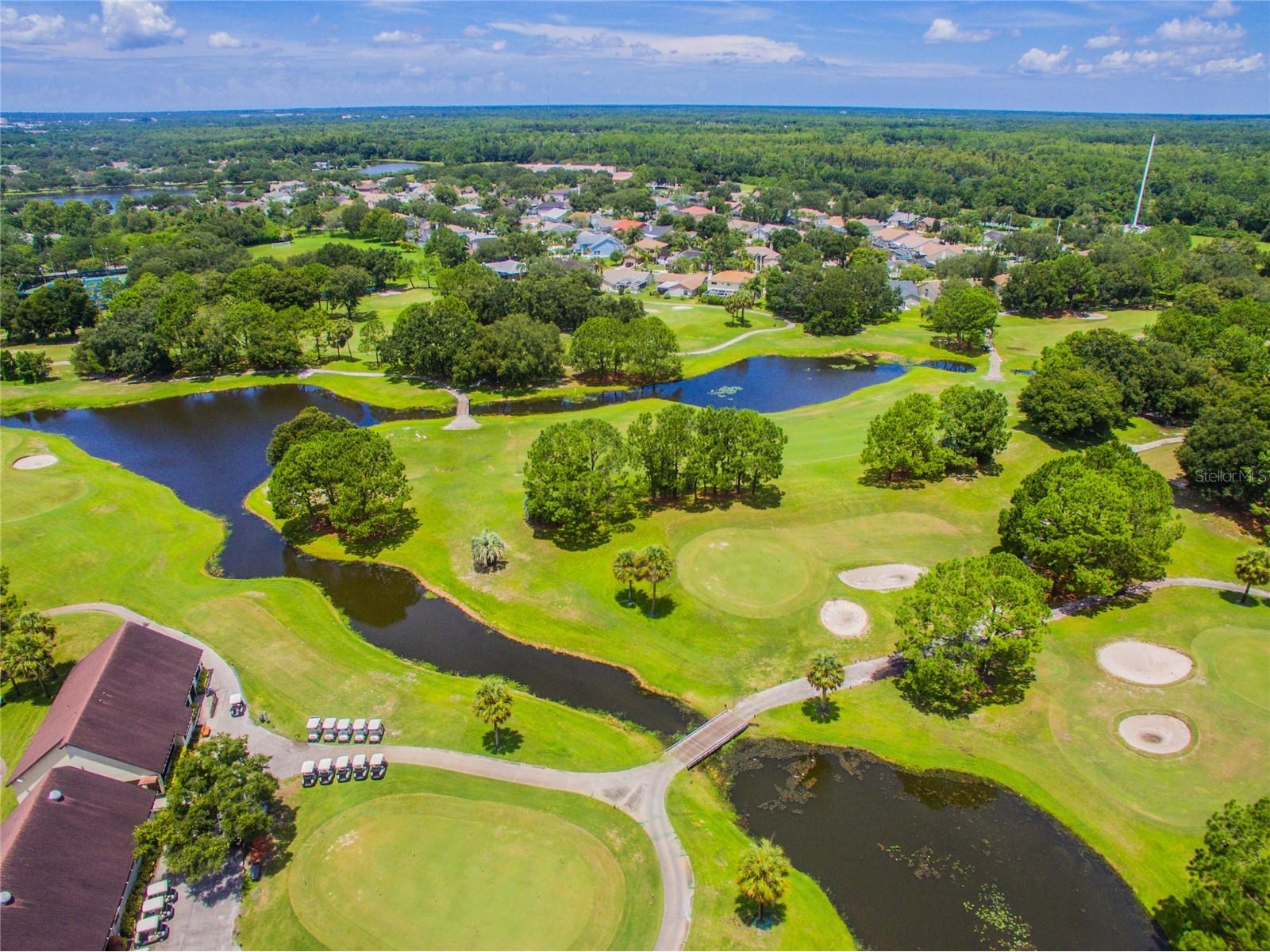11903 Steppingstone Boulevard Tampa FL 33635 TB8471883 image48