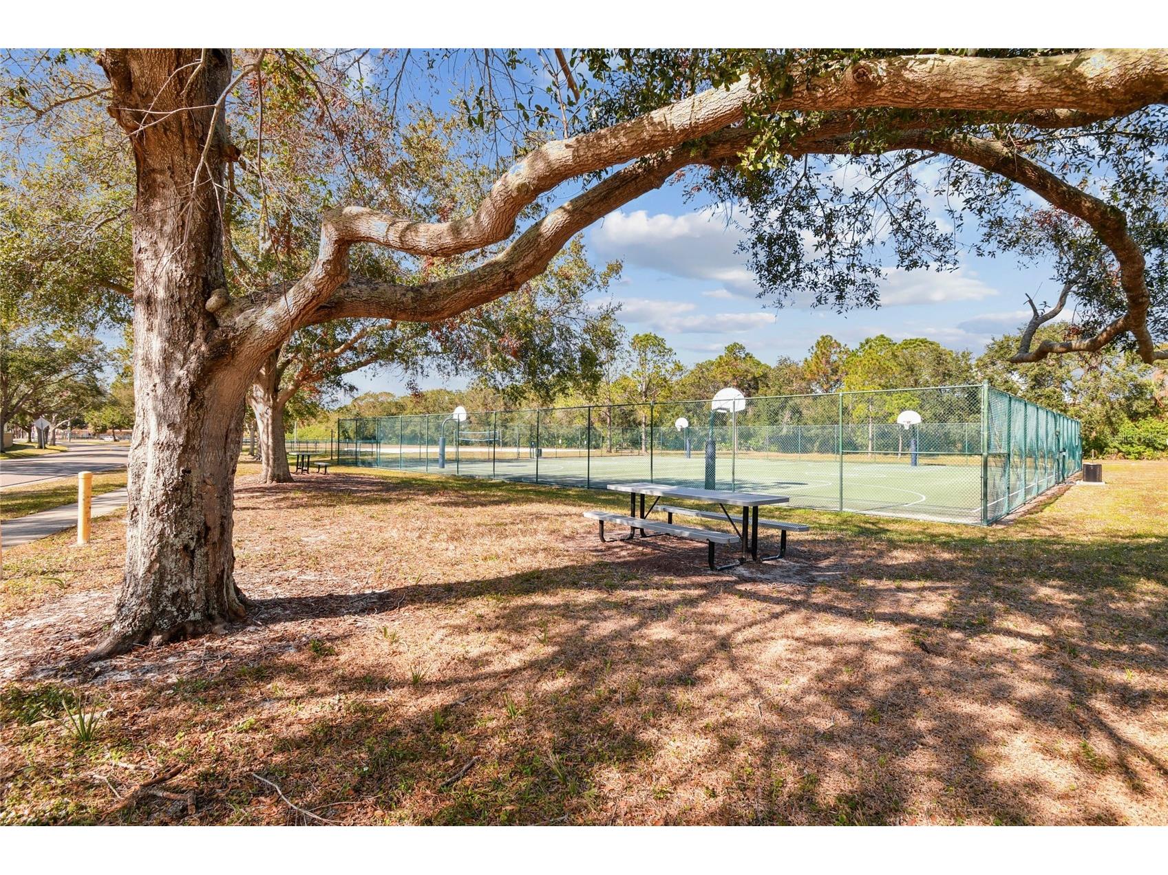 11903 Steppingstone Boulevard Tampa FL 33635 TB8471883 image56