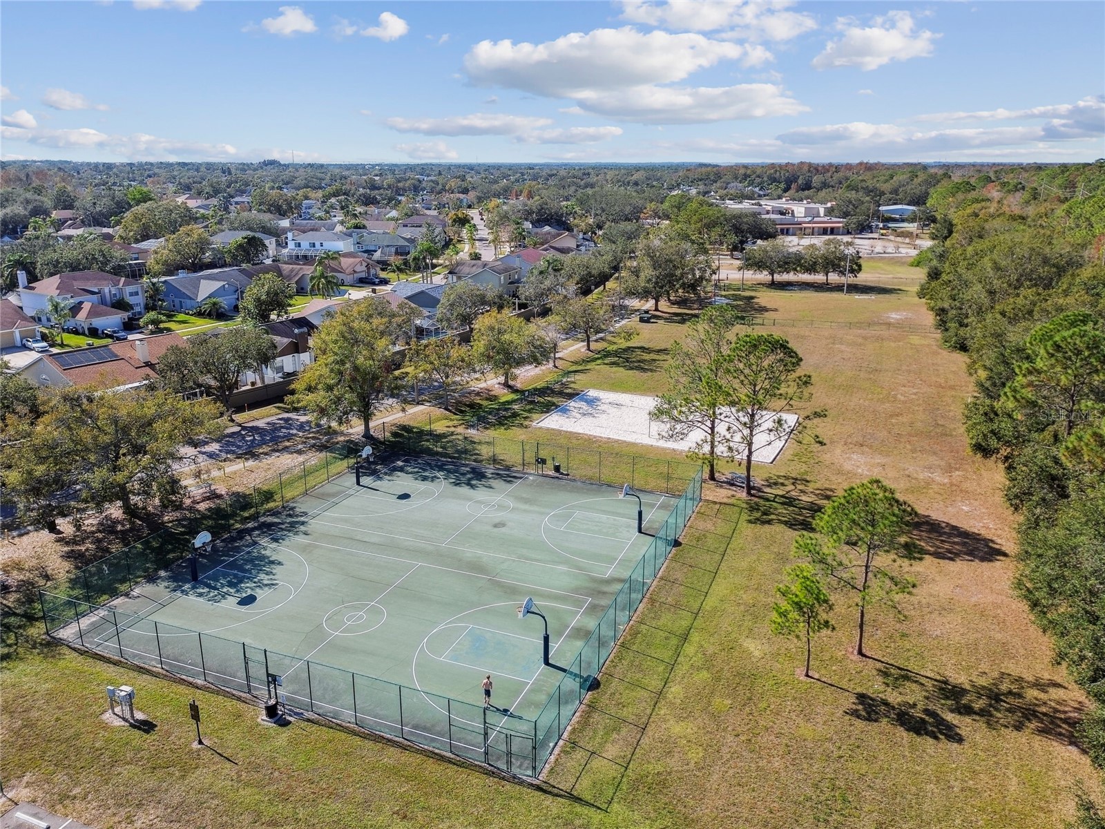 11903 Steppingstone Boulevard Tampa FL 33635 TB8471883 image63
