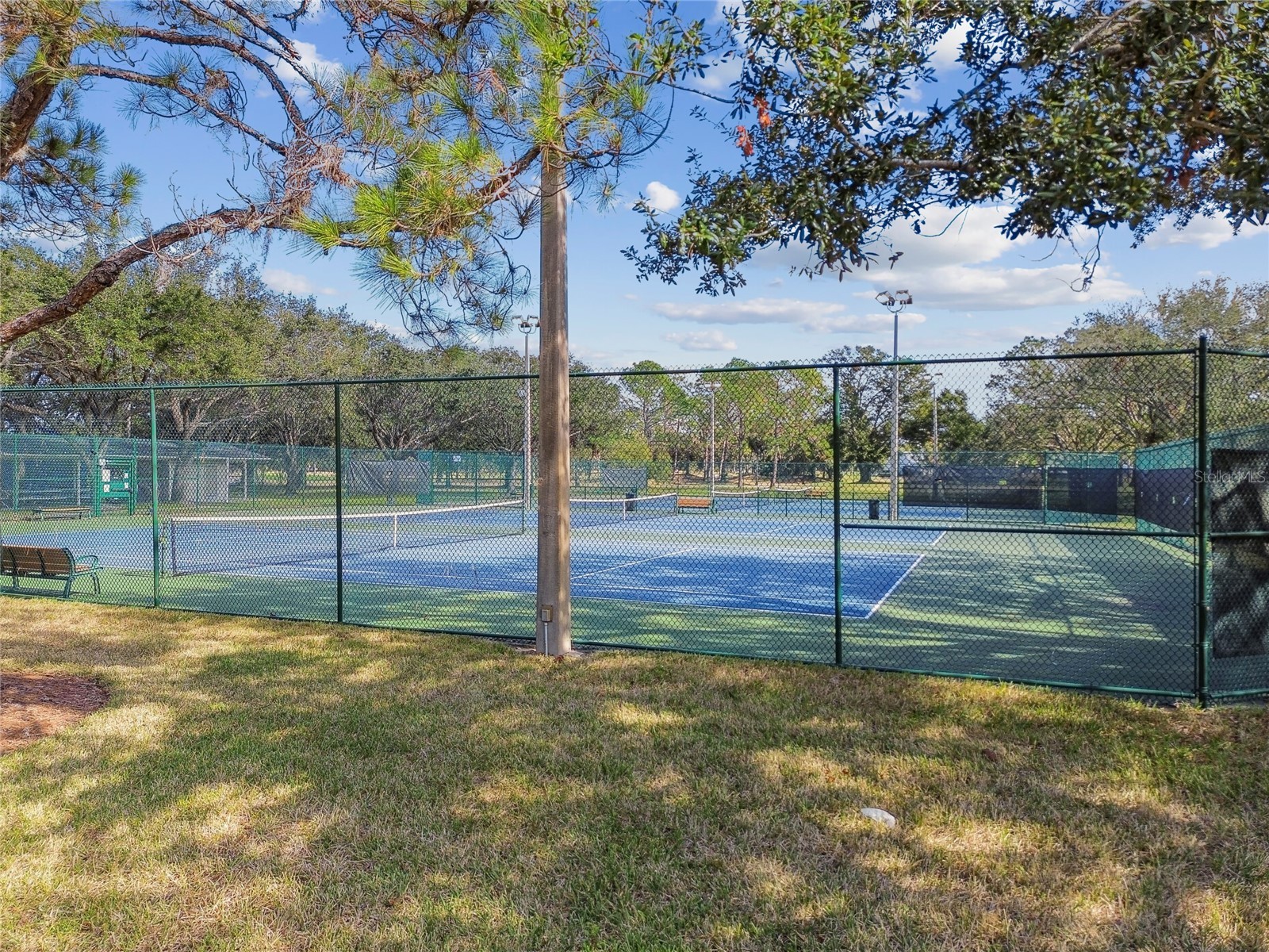 11903 Steppingstone Boulevard Tampa FL 33635 TB8471883 image64