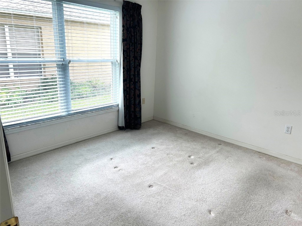 11904 Aranda Court Hudson FL 34667 TB8434640 image14