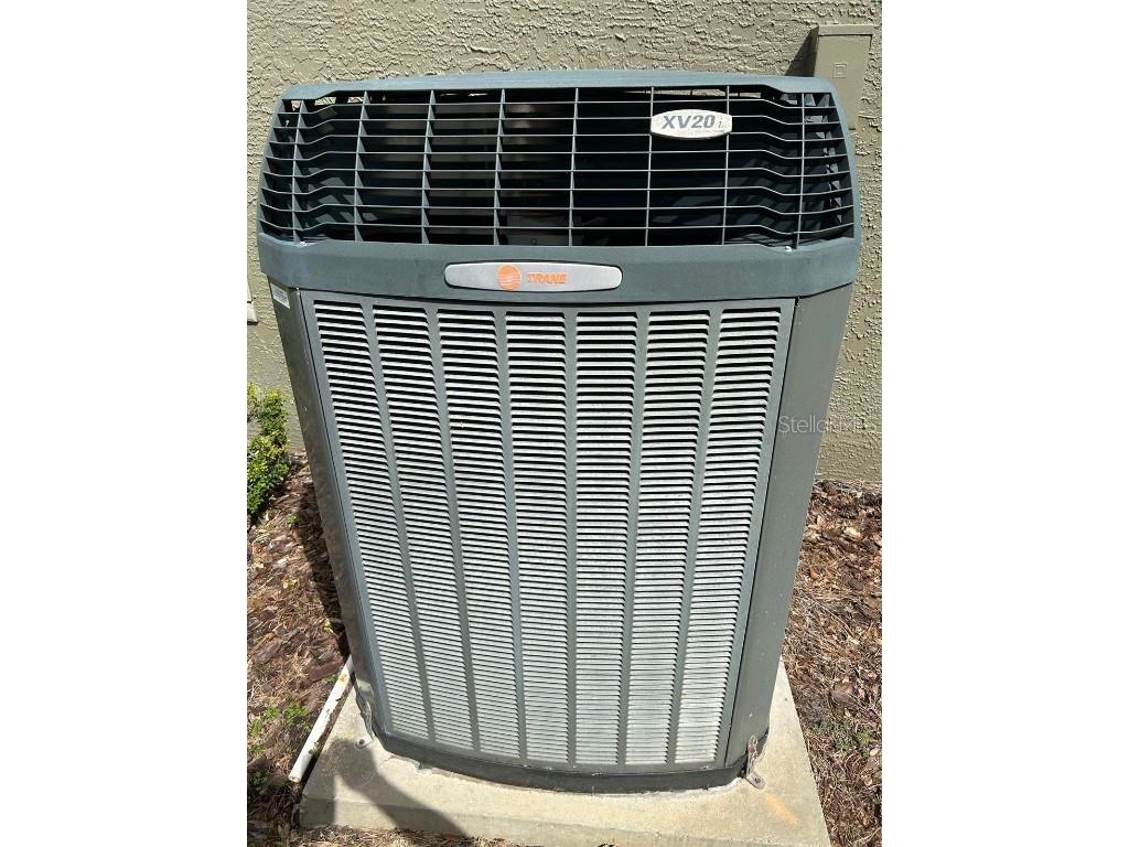 11904 Aranda Court Hudson FL 34667 TB8434640 image20