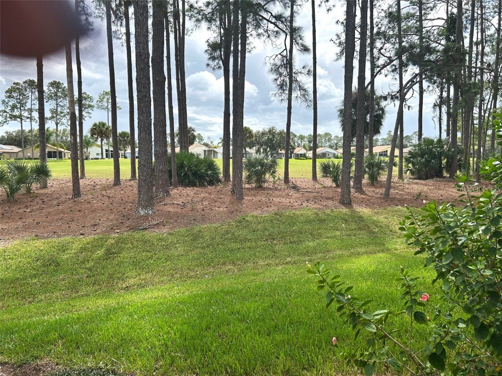 11904 Aranda Court Hudson FL 34667 TB8434640 image21