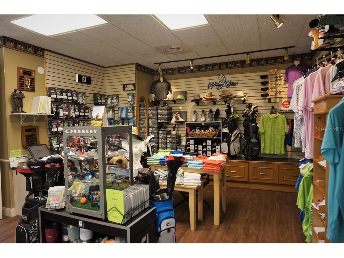 11904 Aranda Court Hudson FL 34667 TB8434640 image34