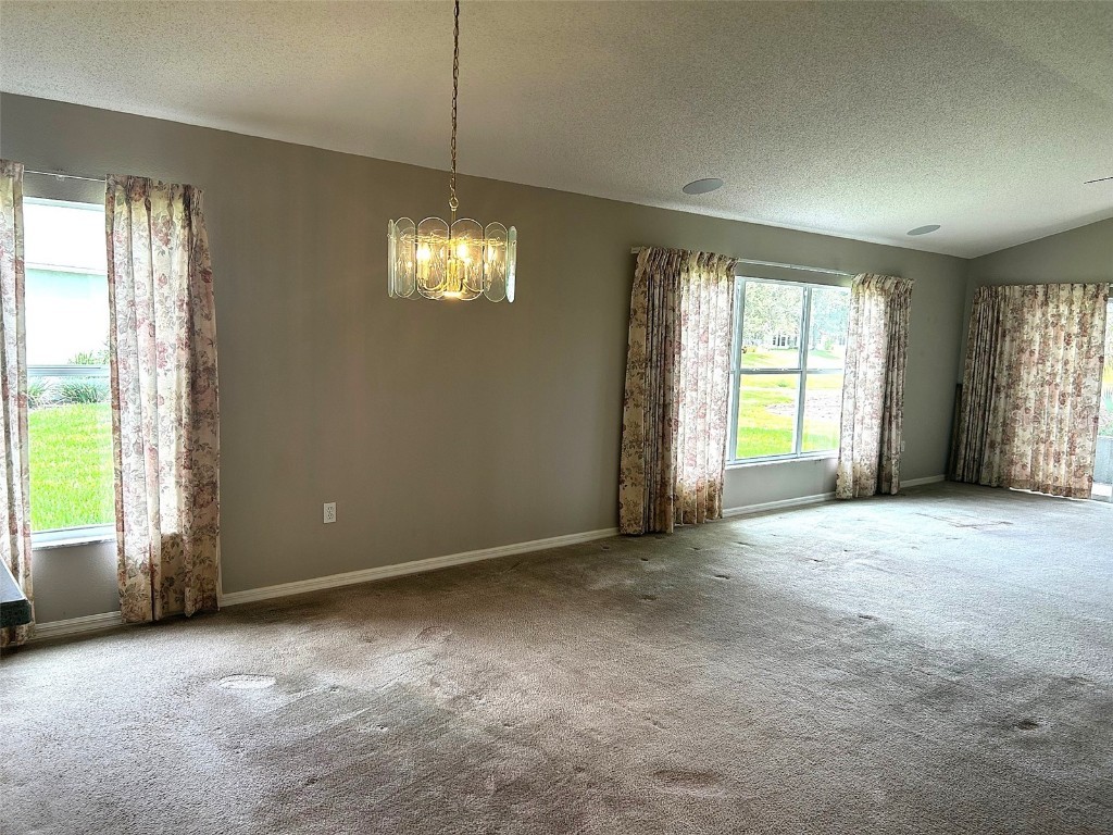 11904 Aranda Court Hudson FL 34667 TB8434640 image5