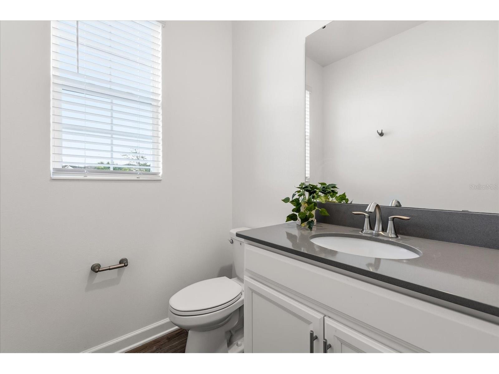 11904 Boldface Drive Orlando FL 32832 O6388216 image10