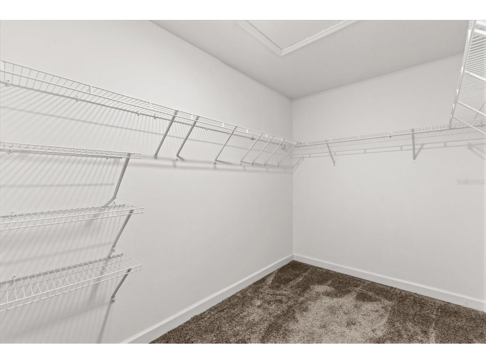 11904 Boldface Drive Orlando FL 32832 O6388216 image22