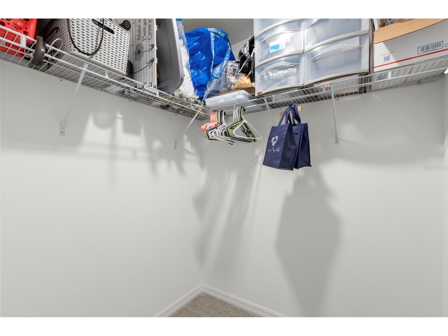 11904 Field Thistle Court Riverview FL 33579 TB8486825 image32