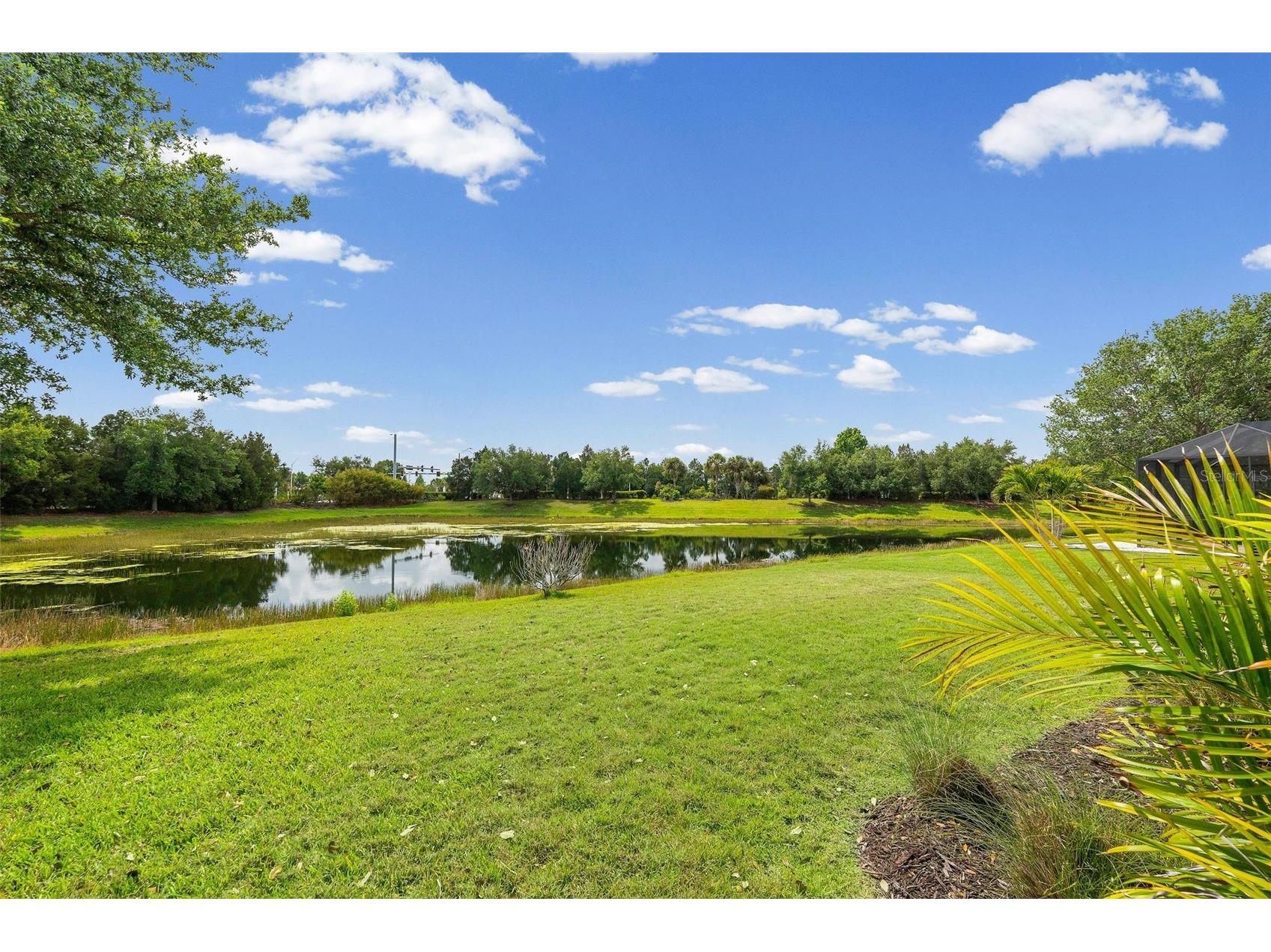 11904 Forest Park Circle Bradenton FL 34211 A4688356 image49