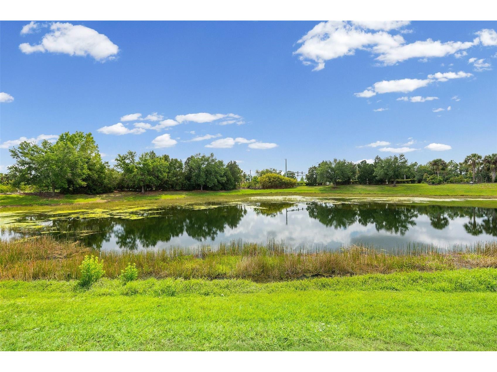 11904 Forest Park Circle Bradenton FL 34211 A4688356 image50