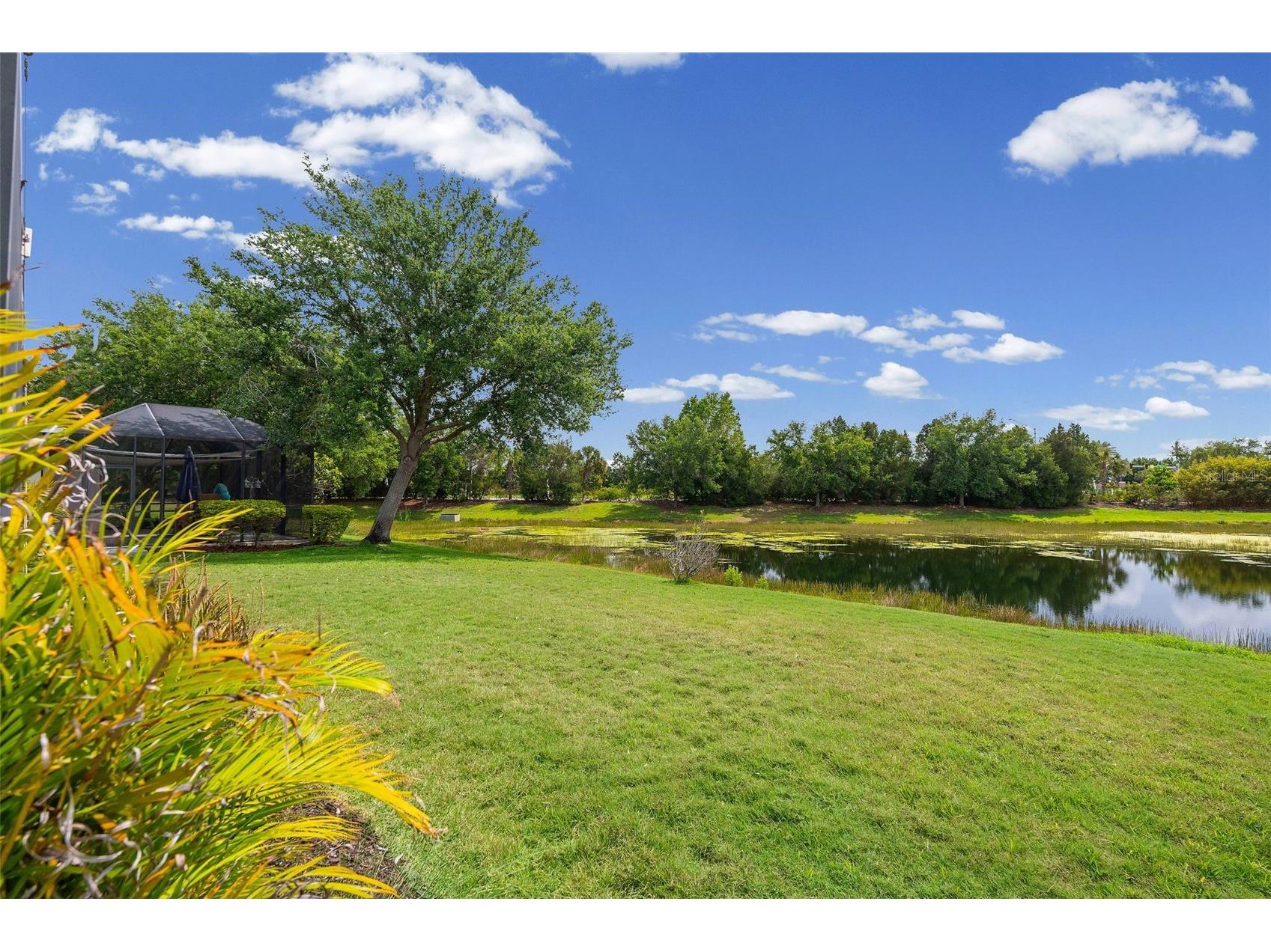 11904 Forest Park Circle Bradenton FL 34211 A4688356 image53