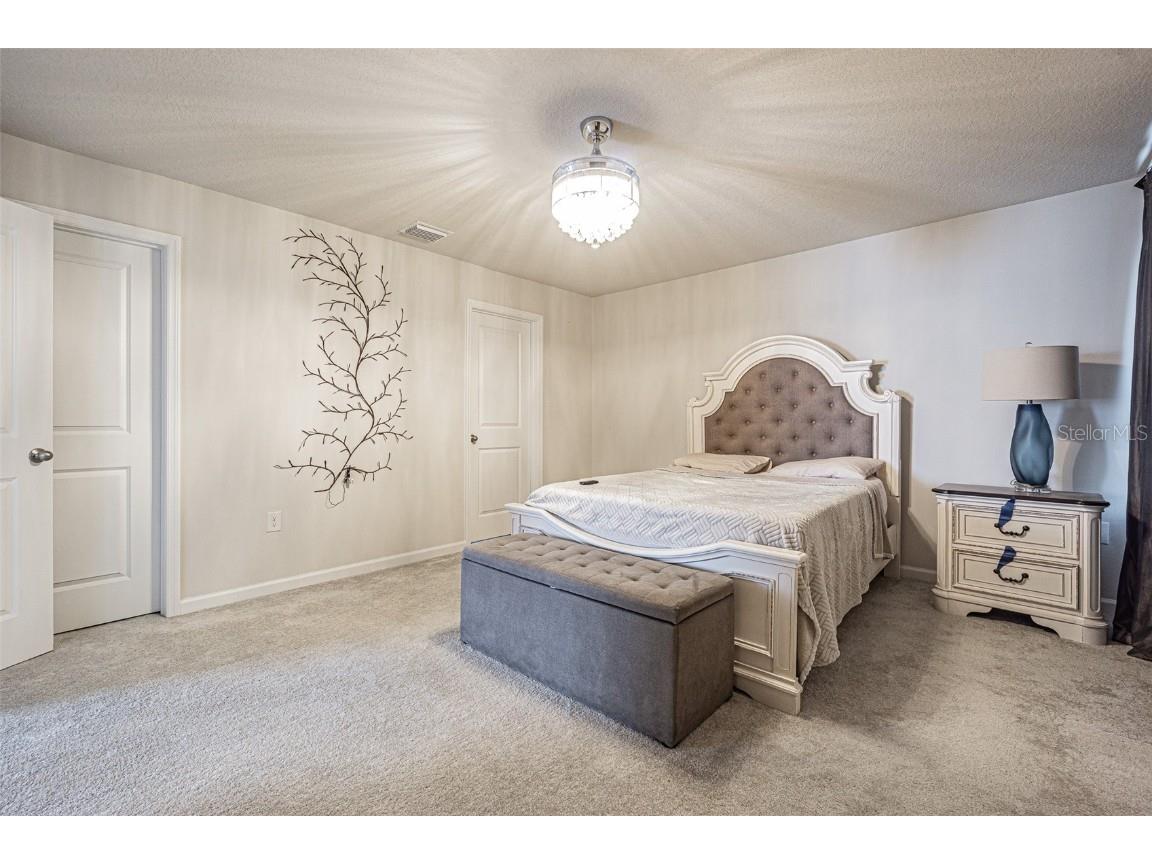 11904 Thorncrest Drive Spring Hill FL 34610 TB8433685 image21