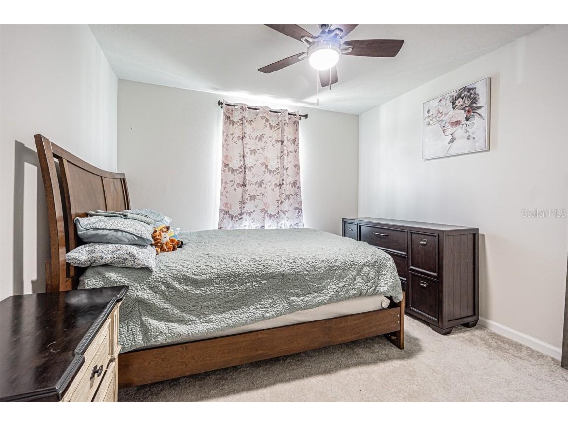 11904 Thorncrest Drive Spring Hill FL 34610 TB8433685 image28