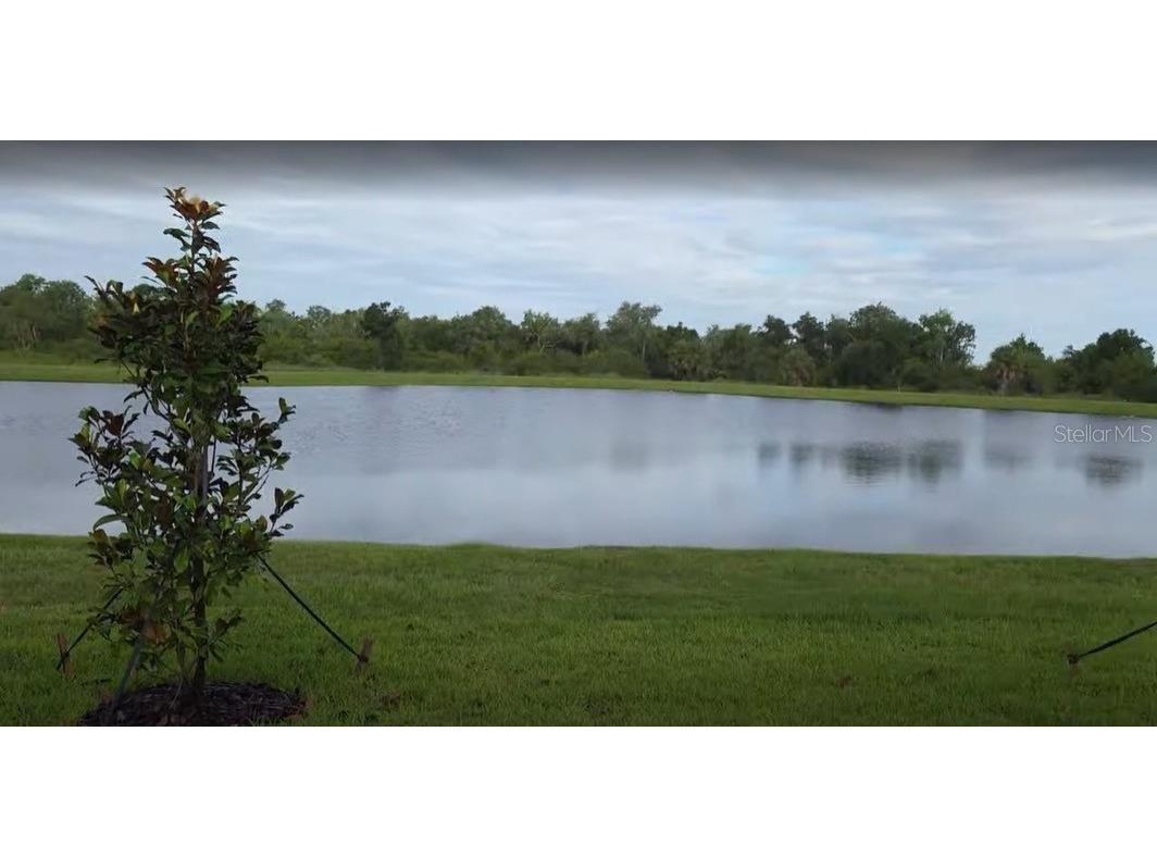 11905 71st Place E Palmetto FL 34221 TB8524730 image35