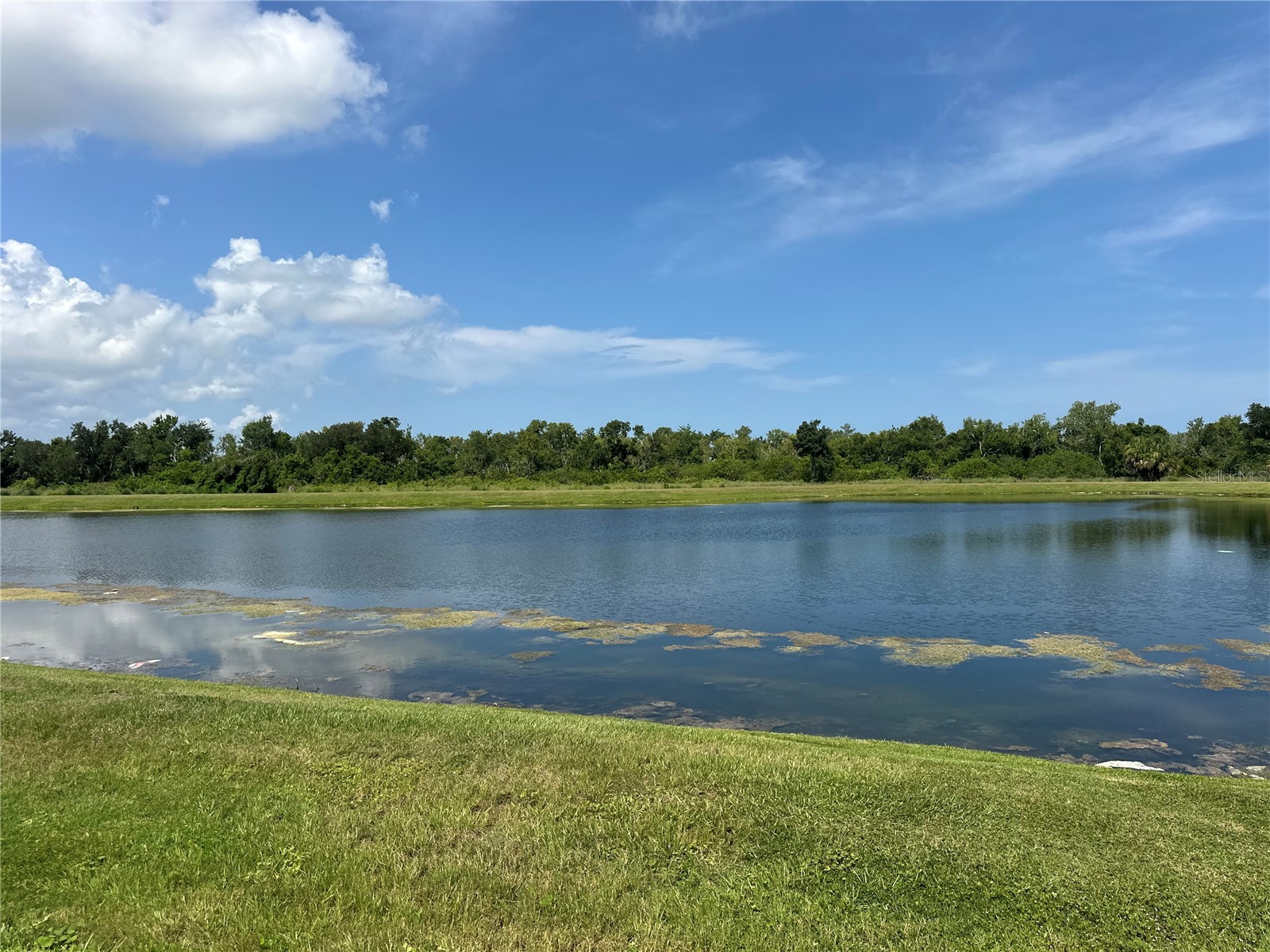 11905 71st Place E Palmetto FL 34221 TB8524730 image36