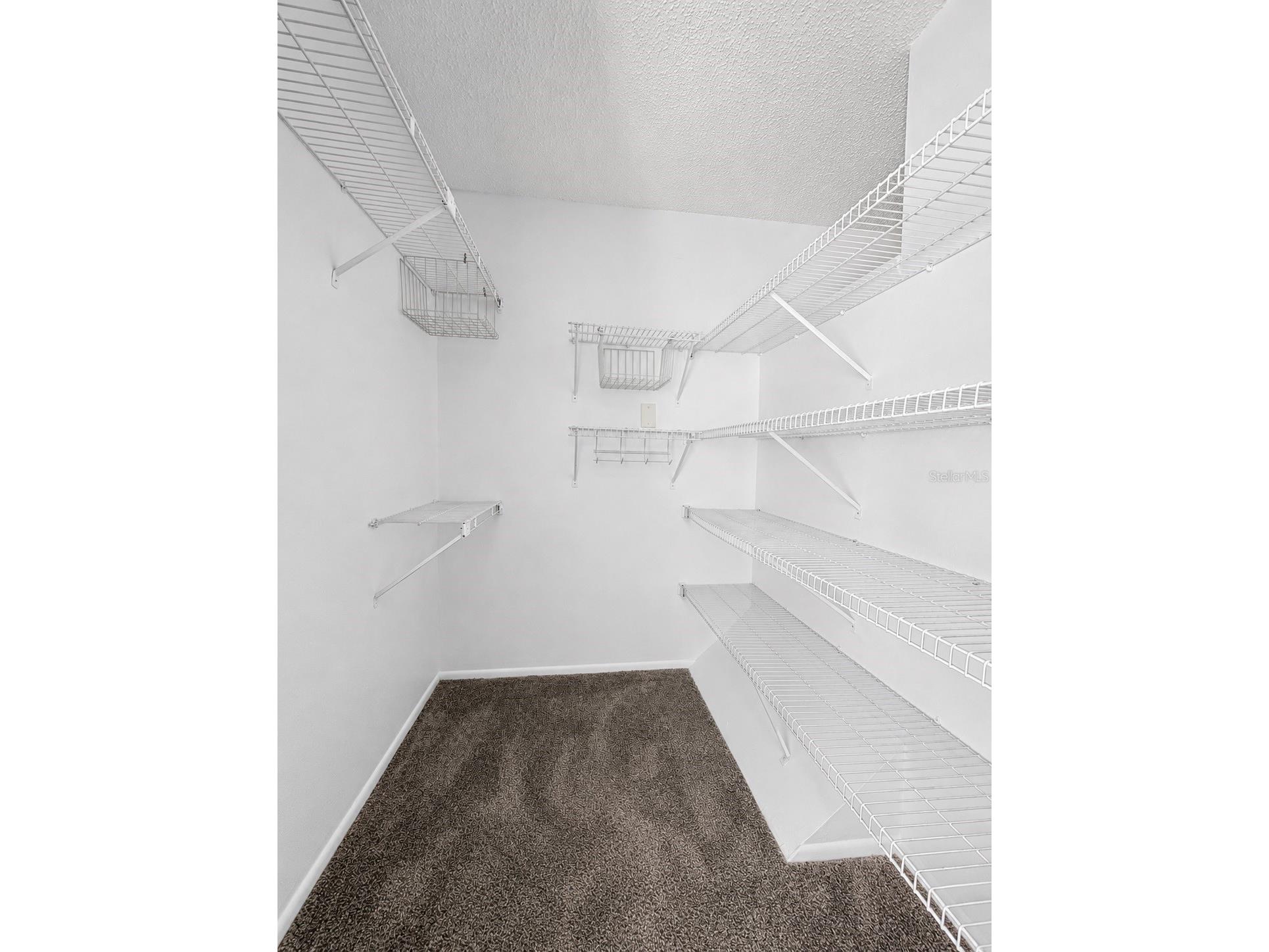 11905 Cypress Vista Tampa FL 33626 TB8517238 image24