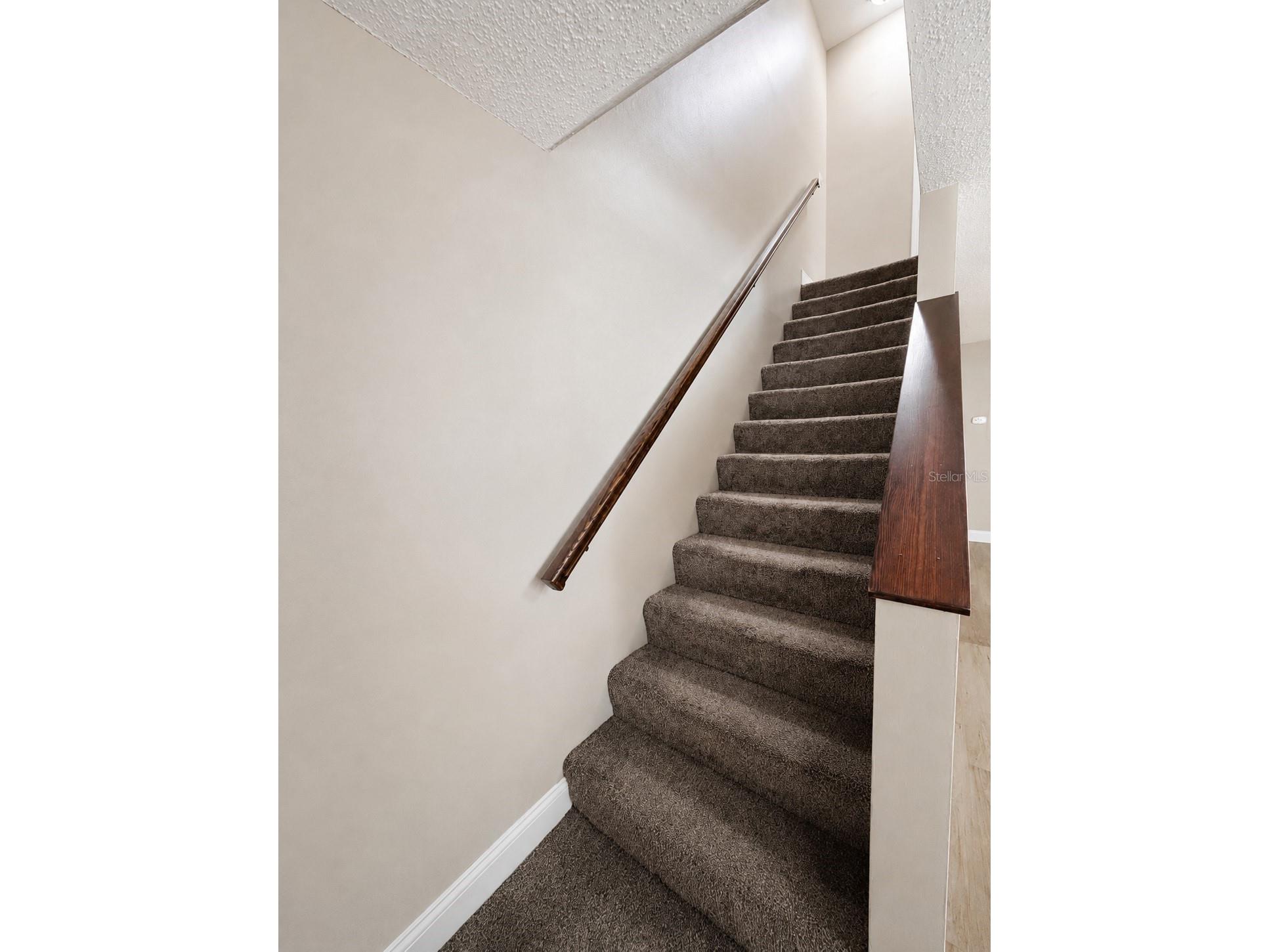 11905 Cypress Vista Tampa FL 33626 TB8517238 image31