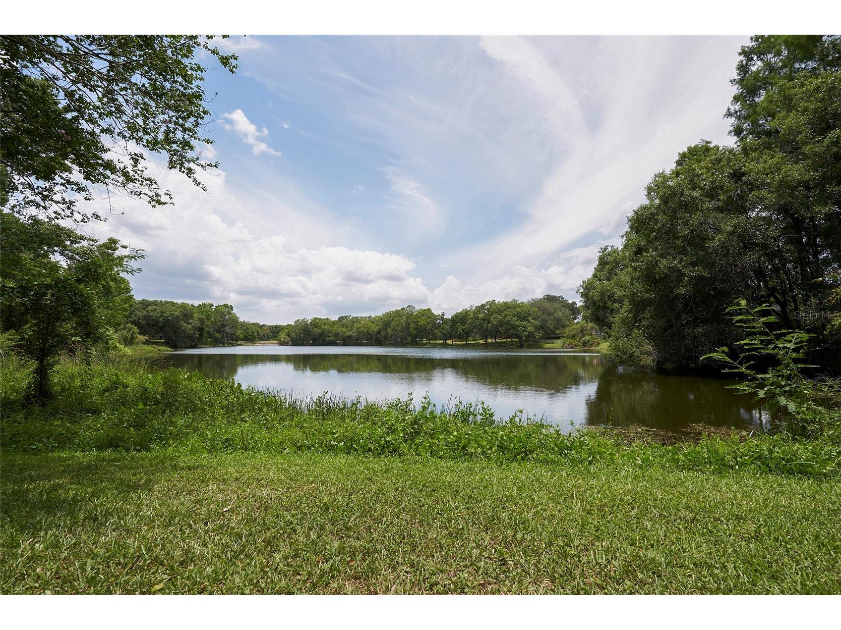 11905 Lakemist Circle #74 Temple Terrace FL 33617 TB8503073 image24