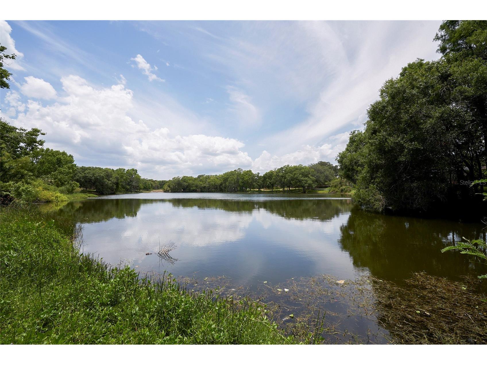 11905 Lakemist Circle #74 Temple Terrace FL 33617 TB8503073 image25