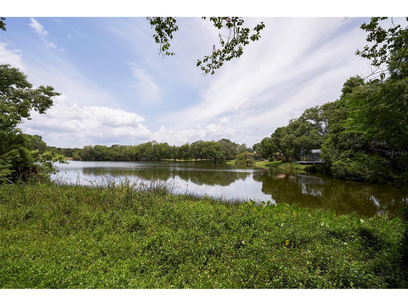 11905 Lakemist Circle #74 Temple Terrace FL 33617 TB8503073 image26